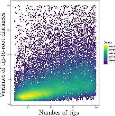 Rates and Rocks: Strengths and Weaknesses of Molecular Dating Methods